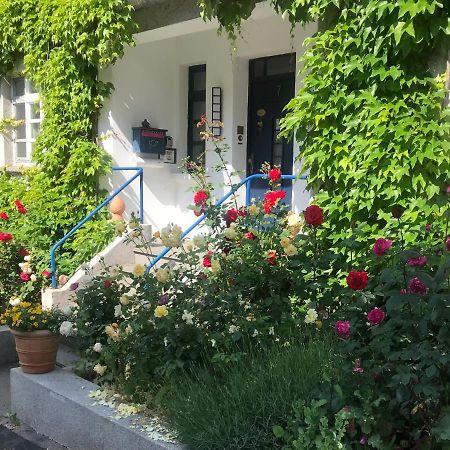 Kunsthaus Mit Gartensauna Dierdorf Exterior photo